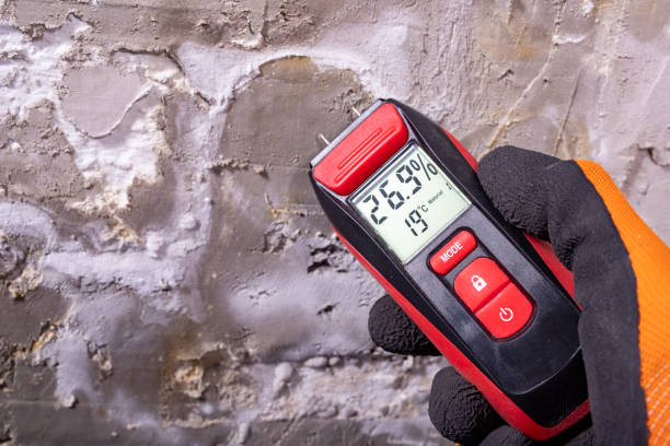 South Hill, NY Mold Removal Company