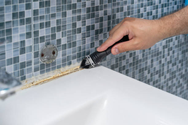 Best Home Mold Removal  in South Hill, NY
